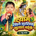 Shyam Tohari Suratiya Bhulat Naikhe