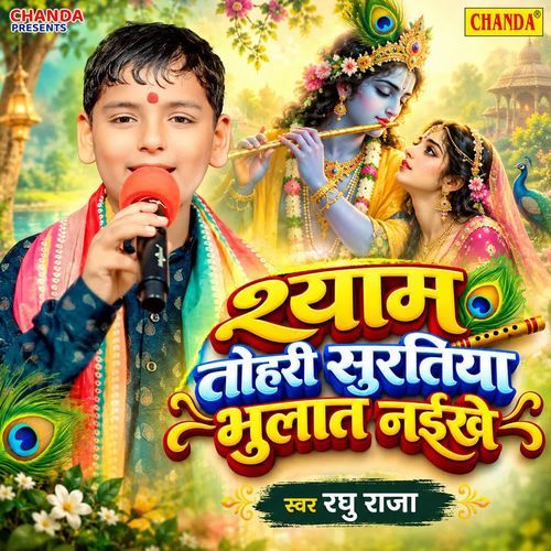 Shyam Tohari Suratiya Bhulat Naikhe
