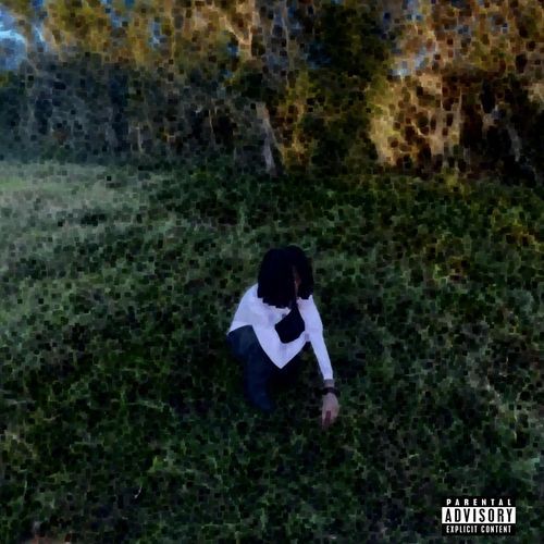 Told Em cover art