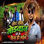 Tor Didi Godwan Ji Ke Fan Ho Gail