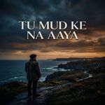 Tu Mud Ke Na Aaya