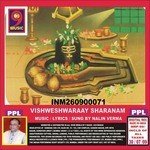 Vishweshwaraay Sharanam