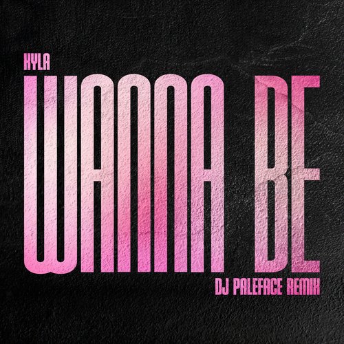 Wanna Be (DJ Paleface Remix)