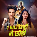 1 No Bihari Ge Chhauri