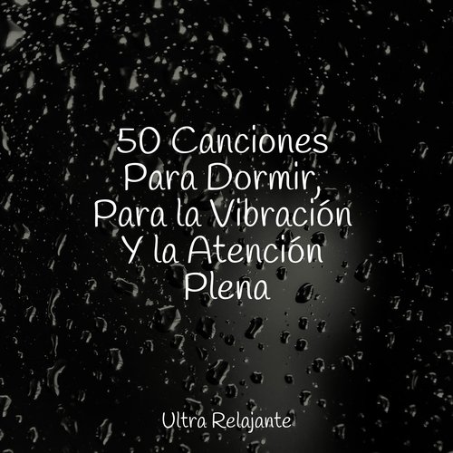 50 Canciones Para Dormir, Para la Vibración Y la Atención Plena