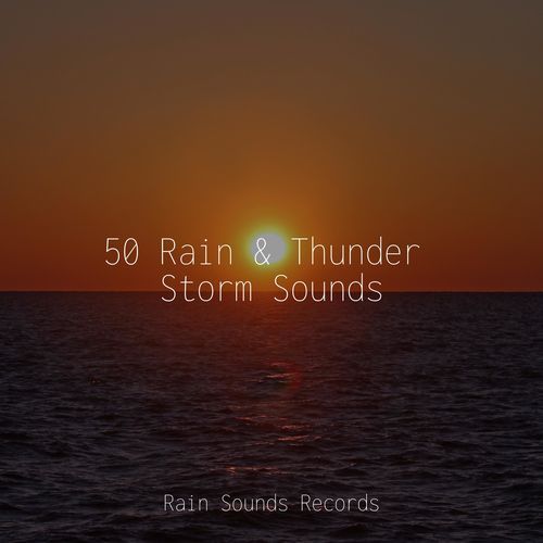 50 Rain & Thunder Storm Sounds