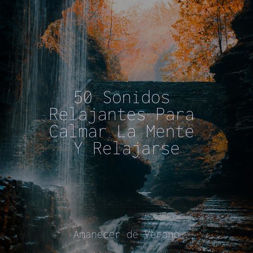 Ecos de la Melancolía del Invierno cover art