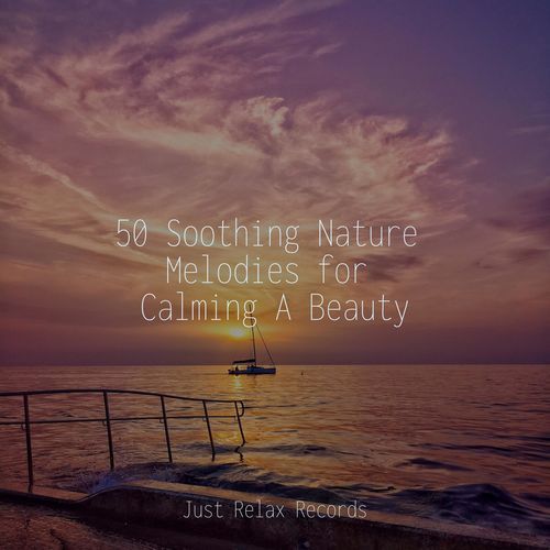 50 Soothing Nature Melodies for Calming A Beauty