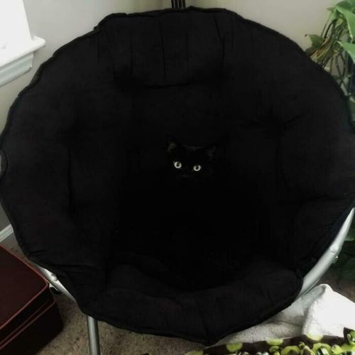 Absolute Void