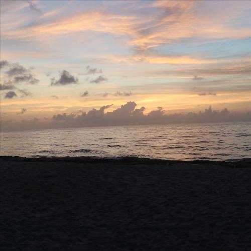 Harmonious cover art