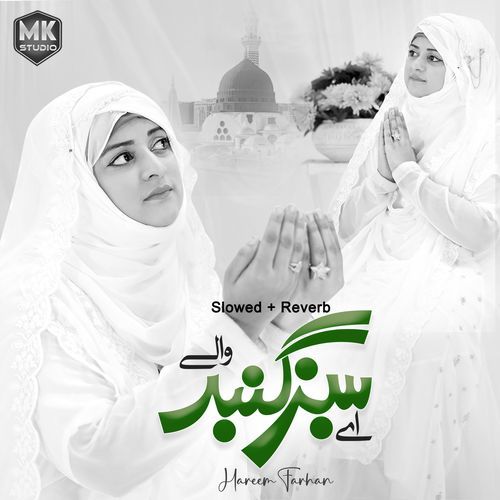 Aye Sabz Gumbad Wale (Lofi-Mix)