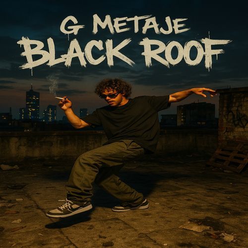 Black Roof cover art