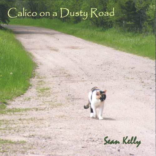 Calico on a Dusty Road