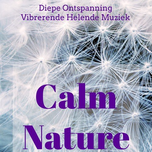 Calm Nature - Diepe Ontspanning Vibrerende Helende Muziek met Natuurlijke New Age Instrumetale Geluiden