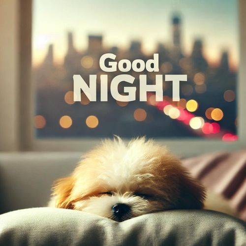 Lovely Nap cover art