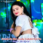 Gulab Se Bhi Jyada Gulabi Hai Tu