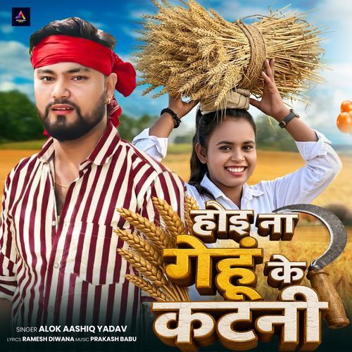 Hoi Na Gehu Ke Katni