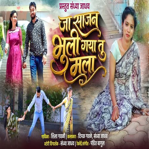 Ja Sajan Bhuli Gayaa Tu Malaa