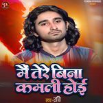 MAIN TERE BINA KAMLI HOYI