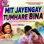 Mit Jayenge Tumhare Bina