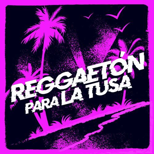 Reggaetón para la tusa
