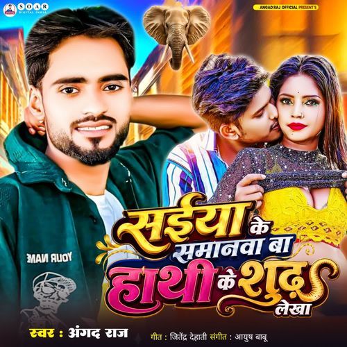 Saiya Ke Samanwa Ba Hathi Ke Sudh Lekha