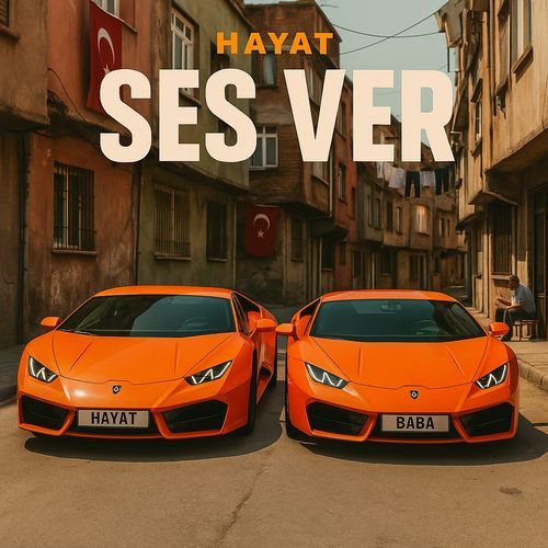 Ses Ver