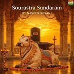 Sourastra Sundaram artwork