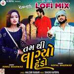 Tam Thi Lagyo Hedo (Lofi Mix)