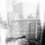 Window