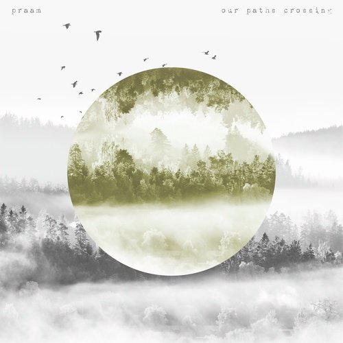 our paths crossing cover art