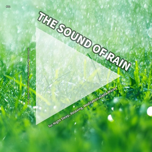Tibetan Meditation cover art