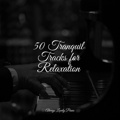 25 Tranquil Tracks for Relaxation