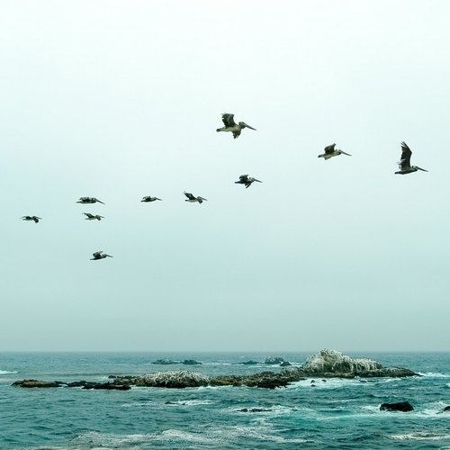 Relaxation Dreams cover art