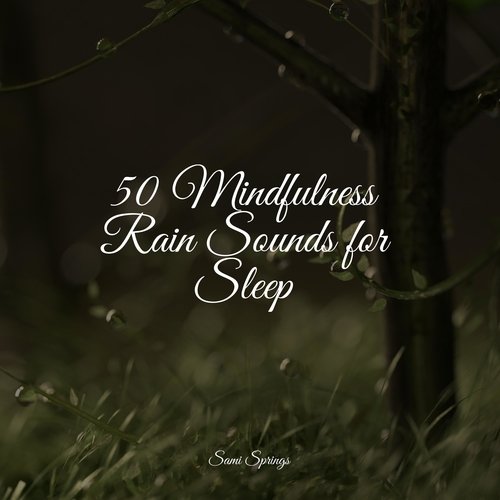 50 Mindfulness Rain Sounds for Sleep