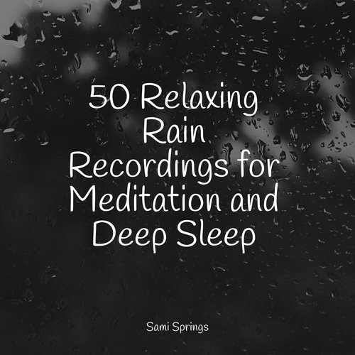 Rain, Storm and Thunder cover art