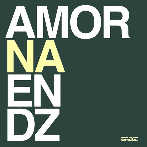 AMOR NA ENDZ - NOITE_poster_image