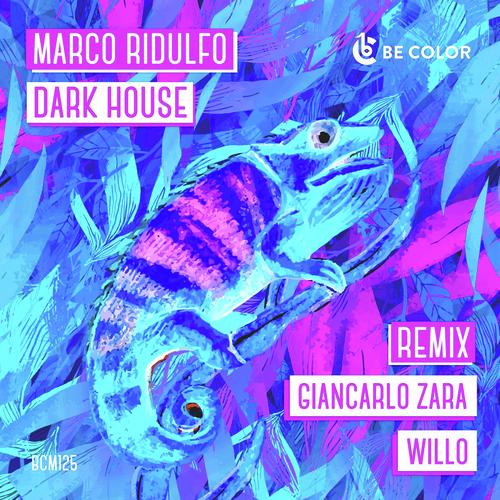 Dark House (Giancarlo Zara Remix) cover art