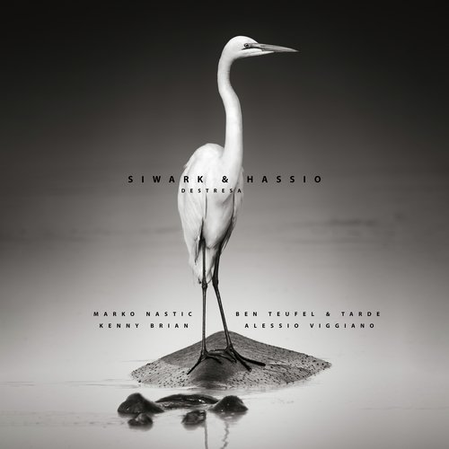 Unknown (Alessio Viggiano Remix) cover art