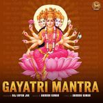 Gayatri Mantra