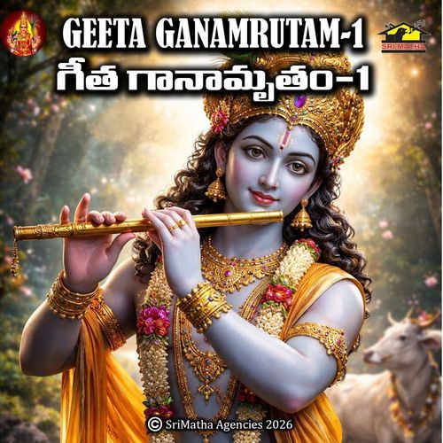 Arjunudu tana Samsayammunu cover art