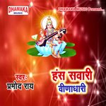 Hans Sawari Beena Dhari