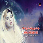 Janj Haider Di
