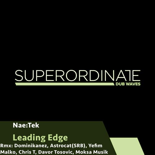 Leading Edge (Yefim Malko Rmx) cover art