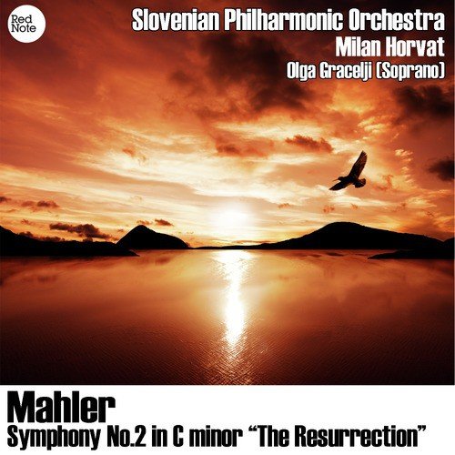 Symphony No. 2 "The Resurrection" in C Minor: I. Movement: Allegro maestoso (Totenfeier) - 1. Mit durchaus ernstem und feierlichem Ausdruck