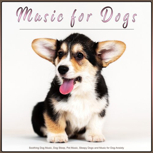 Sleepy Dogs cover art