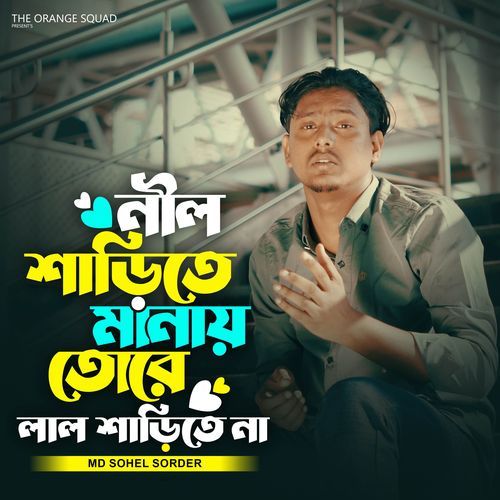 Nil Sarite Manai Tore Lal Sarite Na 2