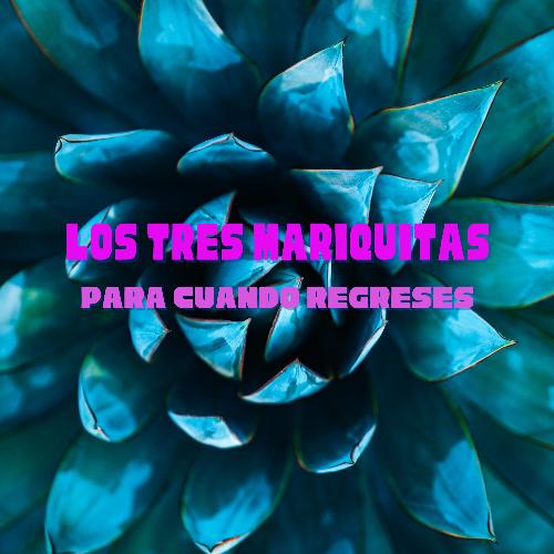 Para Cuando Regreses cover art