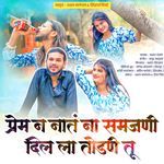 Prem Na Nata Na Samajhani Dil La Todani Tu