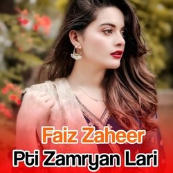 Pti Zamryan Lari